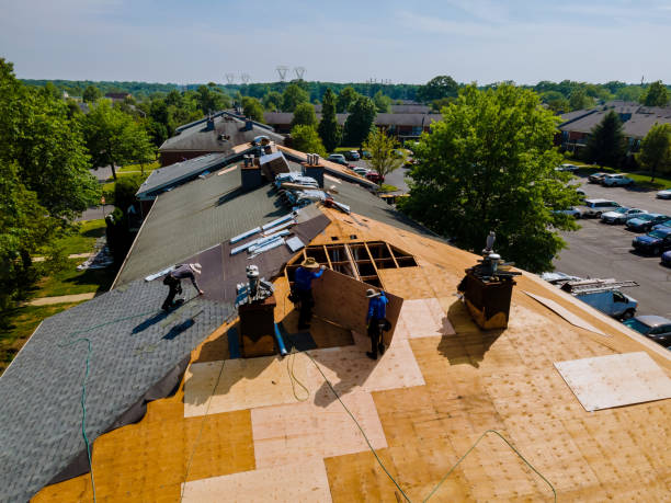 Best Metal Roofing Contractor  in Charles City, IA