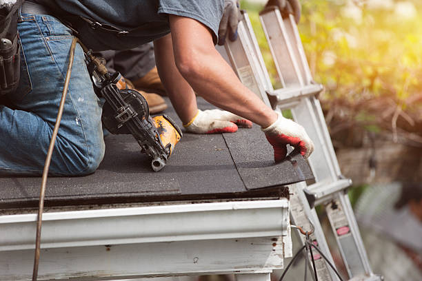 Best Roof Gutter Cleaning  in Charles City, IA